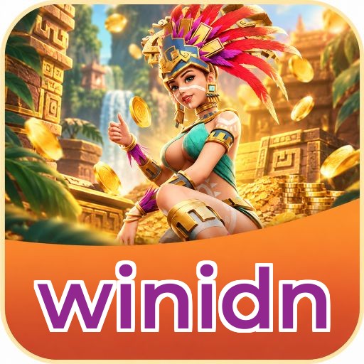 winidn Pro